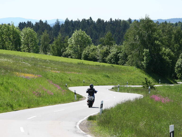 Motorradfahrer fährt auf einer Landstraße im Bayerischen Wald nahe dem Hotel Deine Auszeit